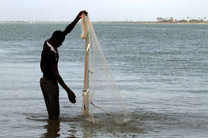 Argungu Fishing Festival