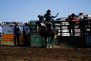 Wilde Rodeoshows auf der Calgary Exhibition Wilde Rodeoshows auf der Calgary Exhibition