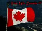 Yes We Canada Yes We Canada