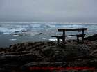 Reisebericht Ilulissat (Grönland) - Zu Besuch in der Wiege der Eisberge