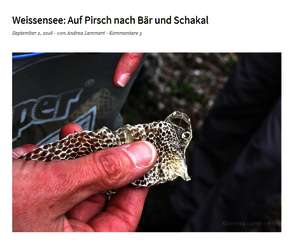 Weissensee: Auf Pirsch mit dem Luchsflüsterer Weissensee: Auf Pirsch mit dem Luchsflüsterer