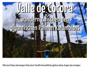 Valle de Cocora – Wandern zwischen den gigantischen Palmen Kolumbiens