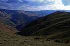 Frühling im Land der Berge - Dagestan