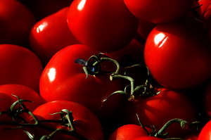 La Tomatina La Tomatina
