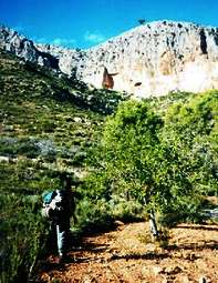 Wie ich nach Spanien auswanderte Wie ich nach Spanien auswanderte