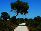 Wandern auf Mallorca - Touren: Finca Son Real