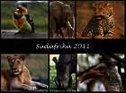Foto-Reisebericht Südafrika 2011 - quer durch Südafrika Foto-Reisebericht Südafrika 2011 - quer durch Südafrika
