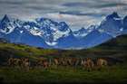 TORRES DEL PAINE TREKKING DURCH PATAGONIENS BILDERBUCHLANDSCHAFTEN