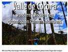Valle de Cocora – Wandern zwischen den gigantischen Palmen Kolumbiens Valle de Cocora – Wandern zwischen den gigantischen Palmen Kolumbiens