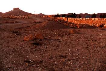 Flora und Fauna in Syrien Flora und Fauna in Syrien