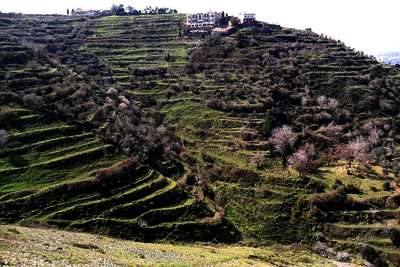 Blick über das Bergland im Osten Syriens