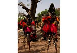 Stelzenläufer, Togo Stelzenläufer, Togo