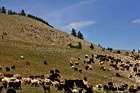 Mongolei: Zu Gast beim Schamanen am Lake Huvsgol