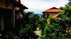 Hotel: Jardin Des Thes Phan Thiet - Vuon Tra