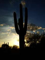 Herbstreise durch Arizona, New Mexico und Las Vegas 2010