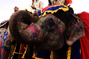 Holi, das Fest der Farben in Indien