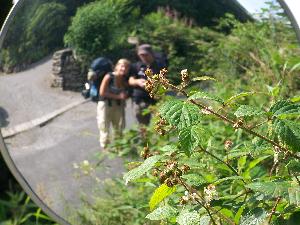 Wandern in England 2008