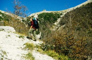 Trekking unter Wölfen und Bären