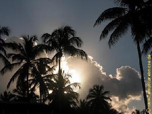 Dominikanische Republik, Halbinsel Samana - fernab jeglichen Trubels - weisse Strände, türkisblaues Meer und schräge Palmen bei www.urlaubserlebnisse.de