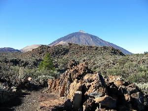 Reisebericht Wanderreise Teneriffa 2008