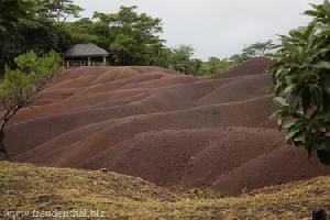 Reisebericht Mauritius mit Ile aux Cerfs und Ilot Gabriel