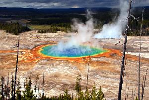 USA - Yellowstone 2010