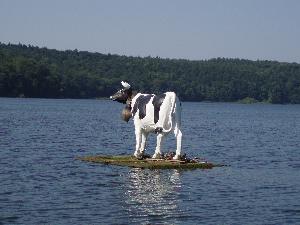 Kurzurlaub in der Holsteinischen Schweiz