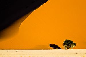 Namibia - Wüste, Tiere und Menschen