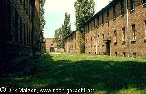 Ein Tag in Auschwitz 1987