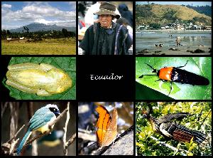 Ecuador - Anden, Küste, Regenwald