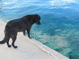 Türkei-Badeurlaub mal anders!