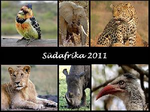 Foto-Reisebericht Südafrika 2011 - quer durch Südafrika