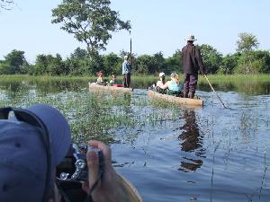 Okavango - Delta und Chobe Park