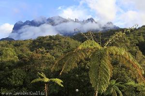 Rundreise durch Borneo