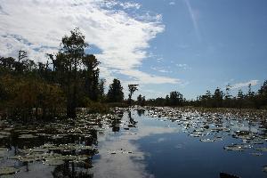 Florida abseits ausgetretener Touristenpfade