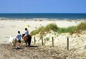 Terschelling