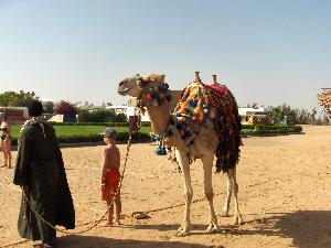 Badeurlaub in Hurghada