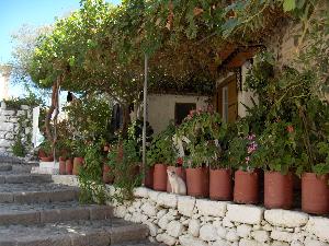 Urlaub mit Kinder auf Zakynthos
