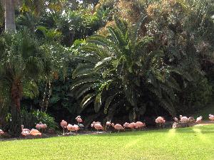 Badeurlaub in Goa und eine Reise durch Kerala