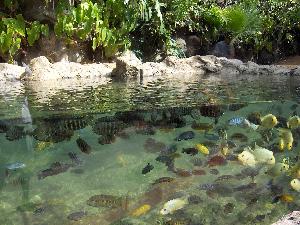 Erholungsurlaub in Pattaya