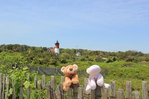 USA New England 2012 oder "Setting Free the Bears"
