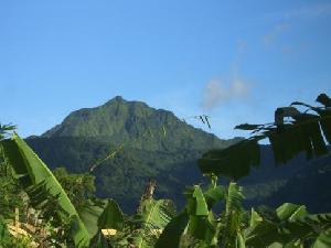 http://www.my-travelworld.de/dominica/reisebericht-dominica/