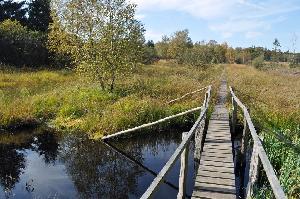 Wanderungen im Hohen Venn