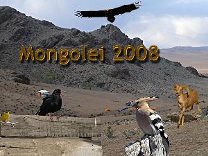 In den Osten Mongolei