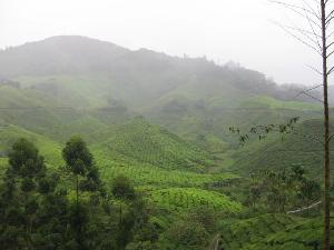 Malaysia Backpacker Rundreise - eine Zusammenfassung