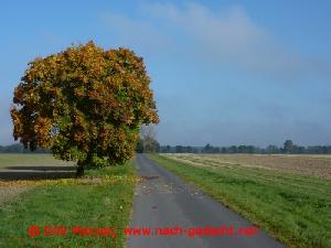 Radtour auf dem Oder-Neiße-Radweg im Oktober