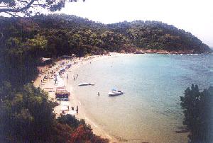 14 Tage Skiathos Urlaub: Infos von Urlaubern für Urlauber
