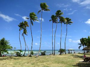 Reisebericht Martinique - Wanderungen und Ausflüge in der Karibik