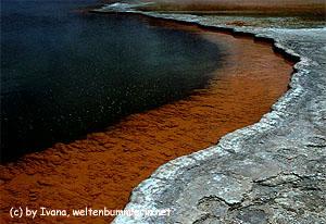 Reise ans andere Ende der Welt nach Neuseeland