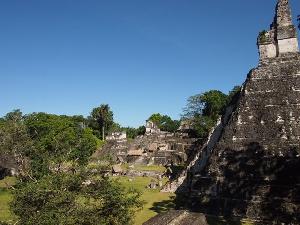 Tikal: Eine Stadt im Nebel